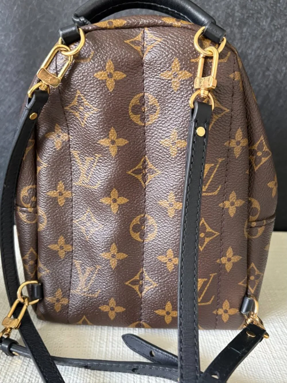 Louis Vuitton Palm Springs Mini Backpack